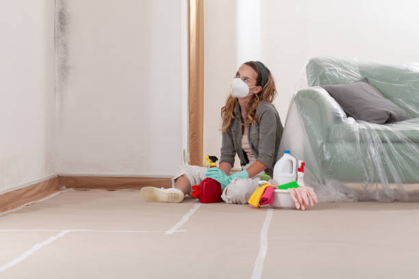 Reliable Crawl Space Mold Removal contractor in Deer Park, WA by WQB Mold Removal
